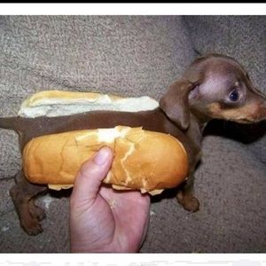 Meet your Posher, Manuel